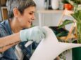 Smiling woman top watering a houseplant indoors with a white watering can. Expert plant care tips available at Holub Greenhouses in Ames, Iowa.
