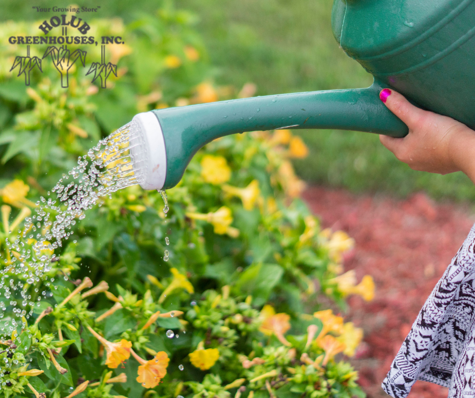 Watering outdoor flowers in Iowa during the summer.