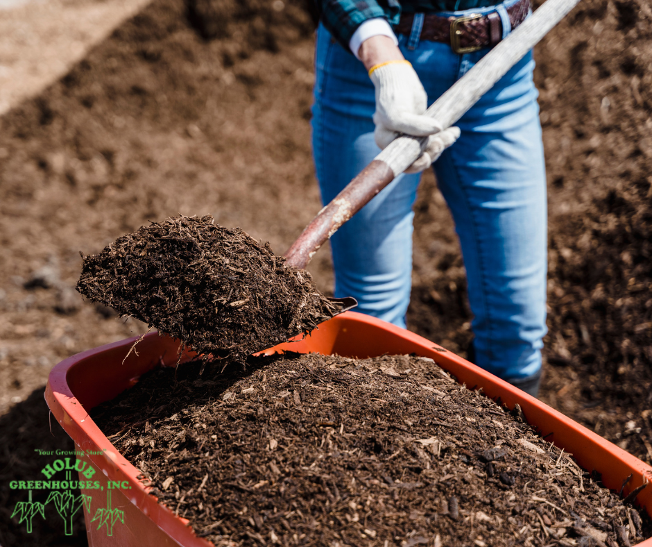 Woman applying organic mulch to garden bed in Central Iowa to retain moisture during summer heat