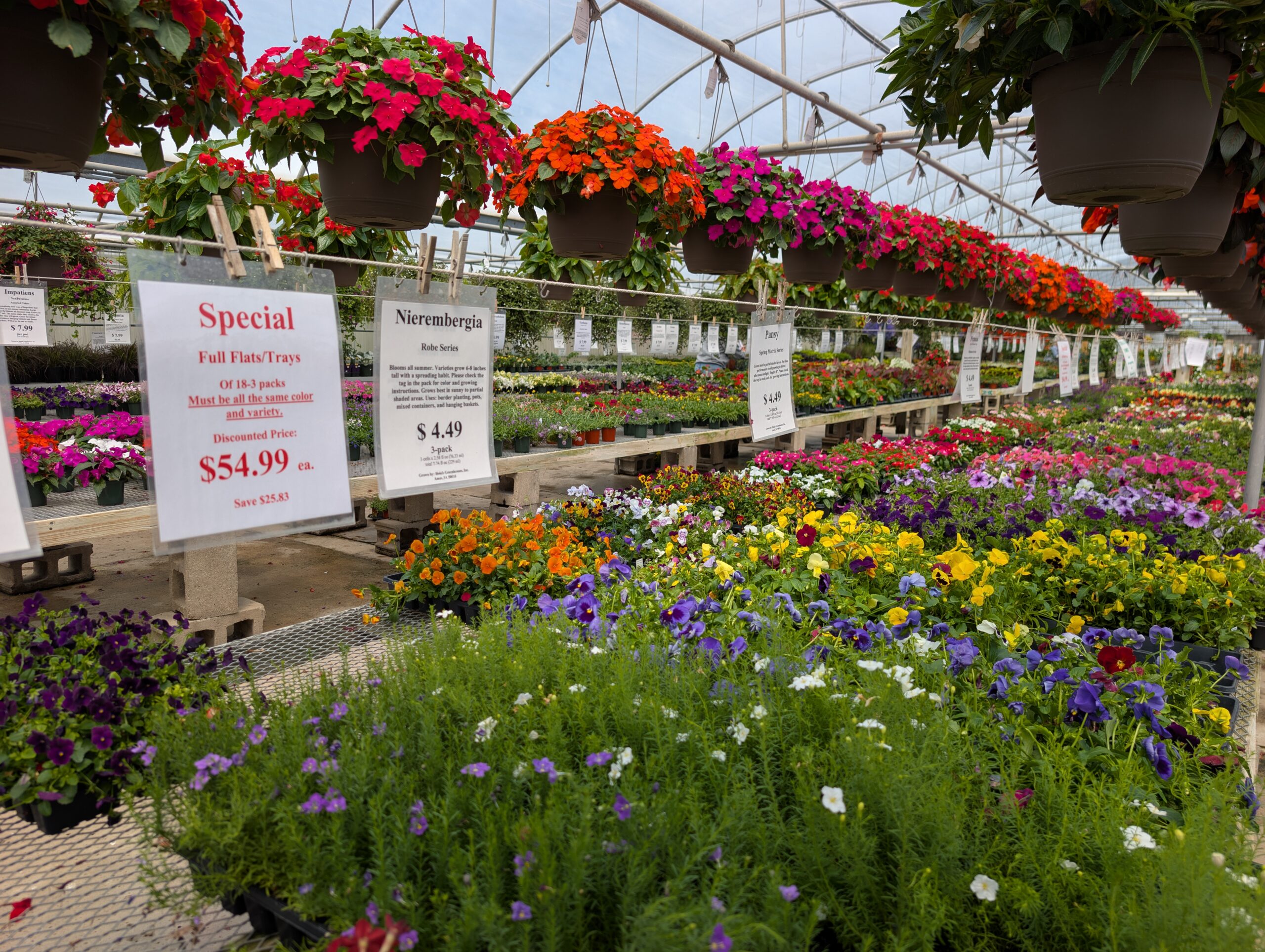 Hanging baskets from Holubs Greenhouses in Central Iowa in full bloom